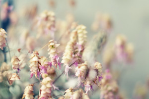 博爾特職業(yè)生涯最后一場(chǎng)百米戰(zhàn)：9秒95第三名