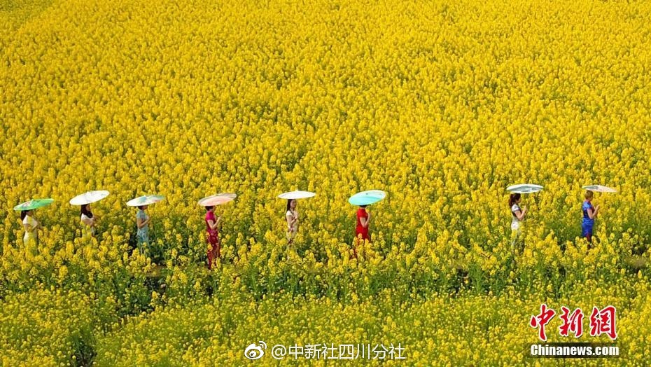 全球燃料電池分布式發電發展格局