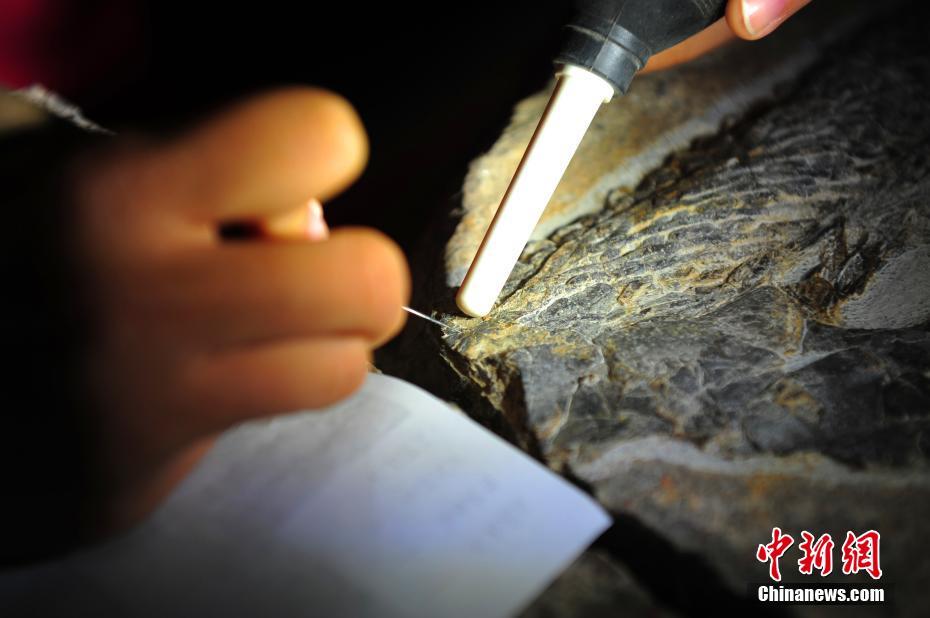 國家電網(wǎng)董事長 辛保安:為保障國家能源安全作出更大貢獻(xiàn)