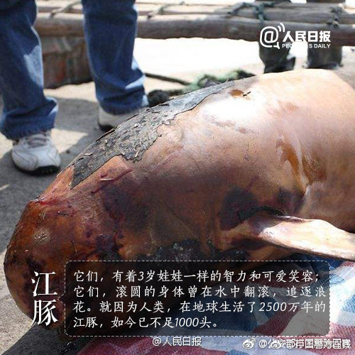 北京火山動力網絡技術有限公司