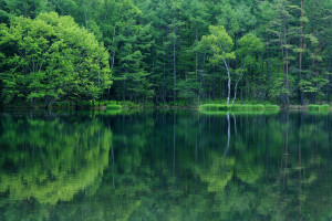 氫能招標丨海上制氫工藝技術研究招標公告