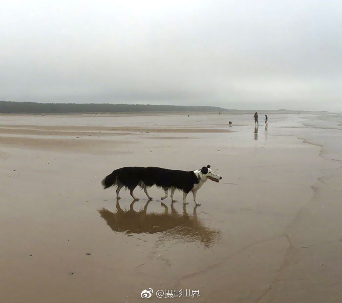相約大潤發(fā),汰漬與海清邀您新年把愛帶回家