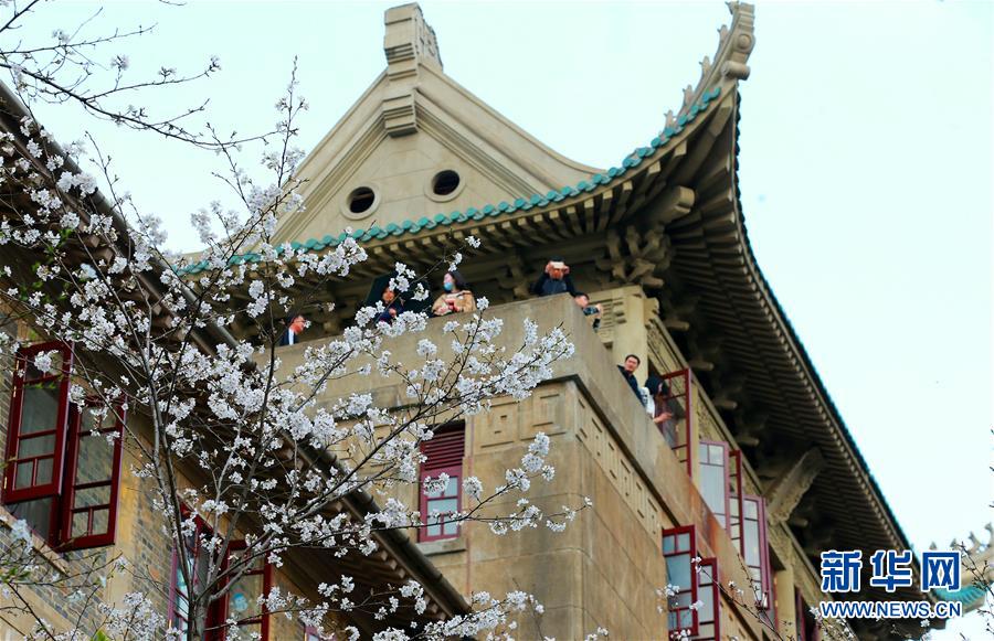 鐘祥柴湖鎮35千伏紅旗輸變電工程成功送電
