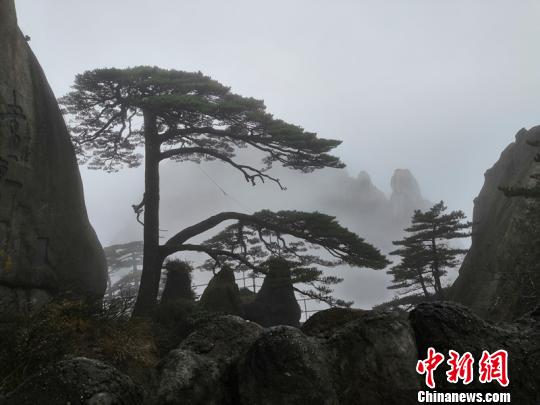 云南電網(wǎng)公司信息中心召開云安全技術(shù)交流會(huì)