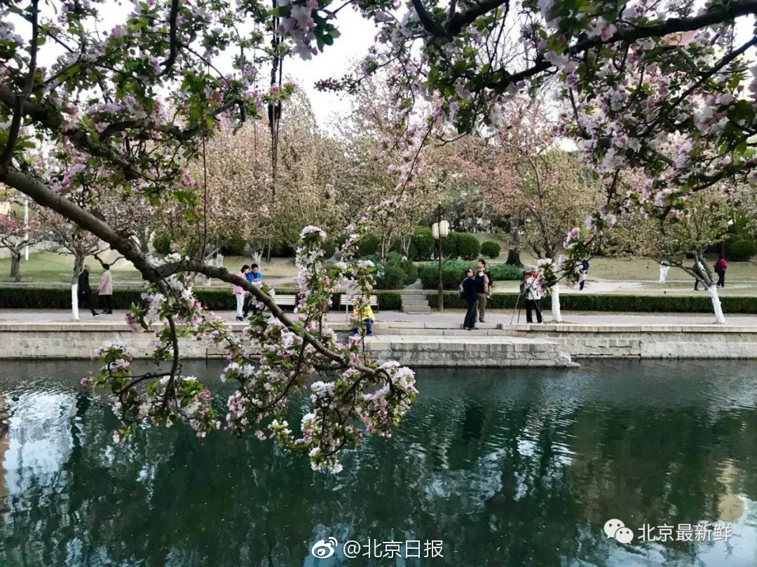 確認選2020？韓國瑜在挺韓大會一句透玄機