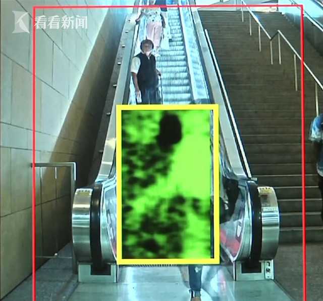 印度官員要把火龍果強行改名成“蓮花”