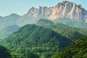我國首次！國家重點研發(fā)項目固態(tài)氫能發(fā)電并網(wǎng)