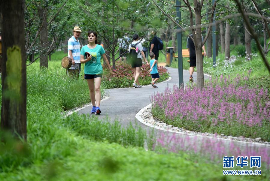 守館12年——不忘來時路就看到了方向:守住了初心就擁有了力量