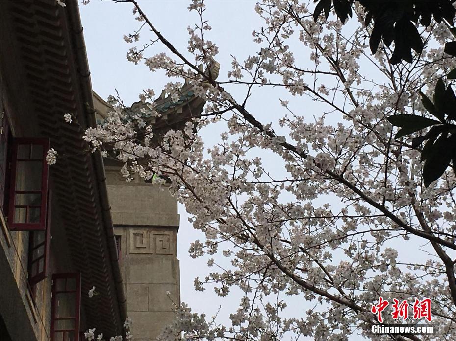 世界首個(gè)特高壓多端混合直流工程：昆柳龍直流工程開(kāi)始跨江架線作業(yè)