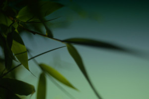 吳政隆看望慰問醫(yī)療專家國醫(yī)大師和院士