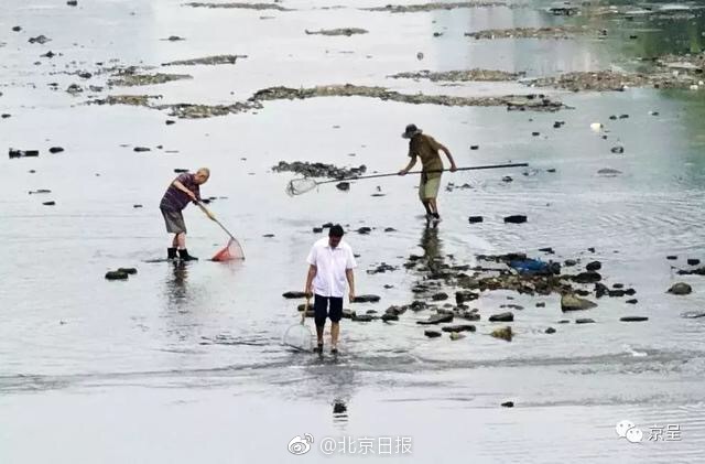 青海核準3項抽水蓄能項目 實現抽水蓄能電站核準零的突破