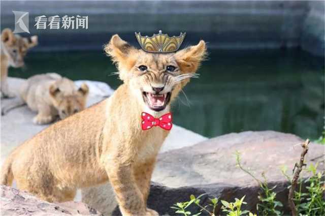 濟南：新建商品房委托辦證不用公證，刷個臉就行