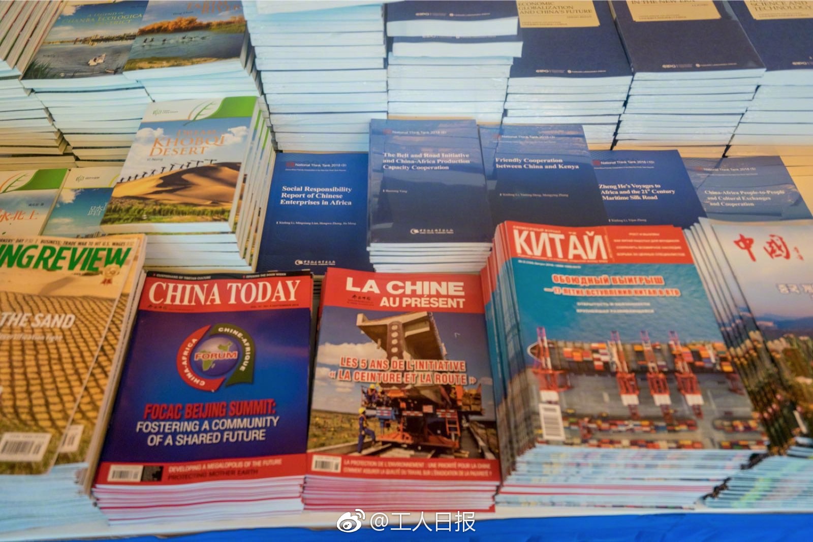 Puerto Ayora魚市場(chǎng)賣魚,畫風(fēng)是這樣的