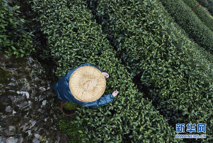 遠(yuǎn)光軟件：IO-DCS系統(tǒng)能否成為火電企業(yè)燃料智能化管控主流