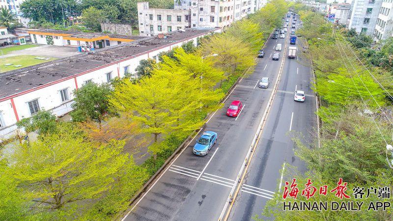 百貨50條，全部是實用的玩意兒（ 12.23）