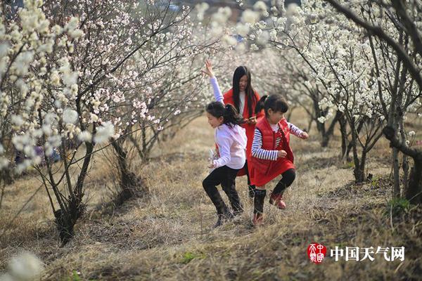 巴西汽油價格十二連降 柴油價格依舊堅挺