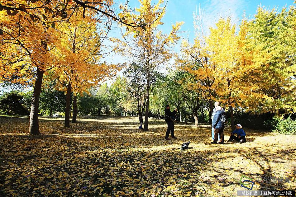 百貨 50 條，全部是實(shí)用的玩意兒（1122 第 2021 期）