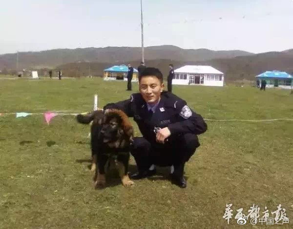 數字化綠色化協同推動構建新型電力系統