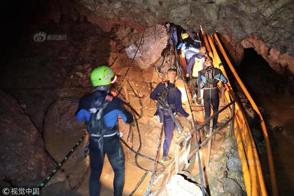 河北：鼓勵支持民營企業參與推進碳達峰碳中和參與碳排放權、用能權交易
