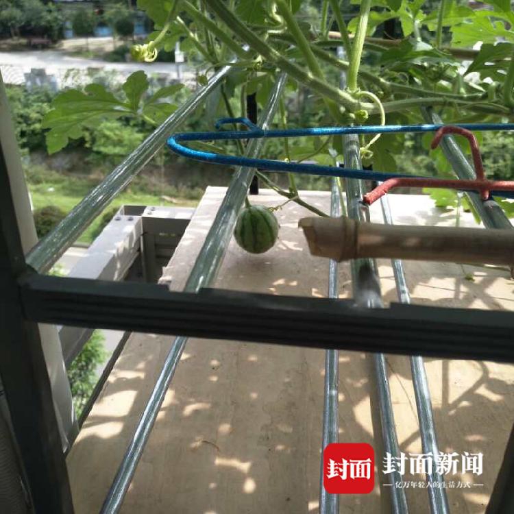 百貨50條，全部是實(shí)用的玩意兒（12.06）