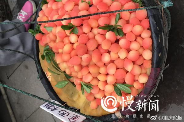 北京市2020年市重點能源項目:含特高壓送出等7個輸變電工程