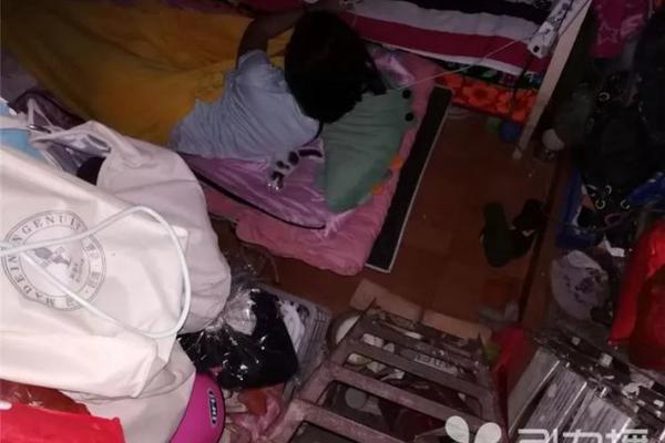 百貨50條，全部是實用的玩意兒（ 12.01）