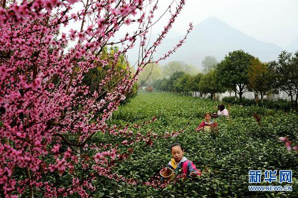 廣東開(kāi)展2021年5月份基數(shù)電量集中轉(zhuǎn)讓交易