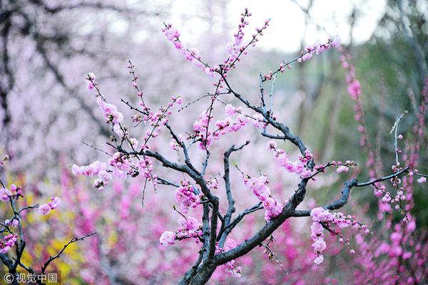 《永樂大典》怎么丟的？西方科技革命是因?yàn)楦`取了《大典》嗎？