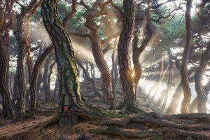 黃河山東段出現本年度首次封河,較常年偏早13天