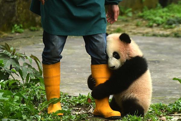 為什么谷歌、微軟等美國頂尖企業會有那么多印度裔高管?