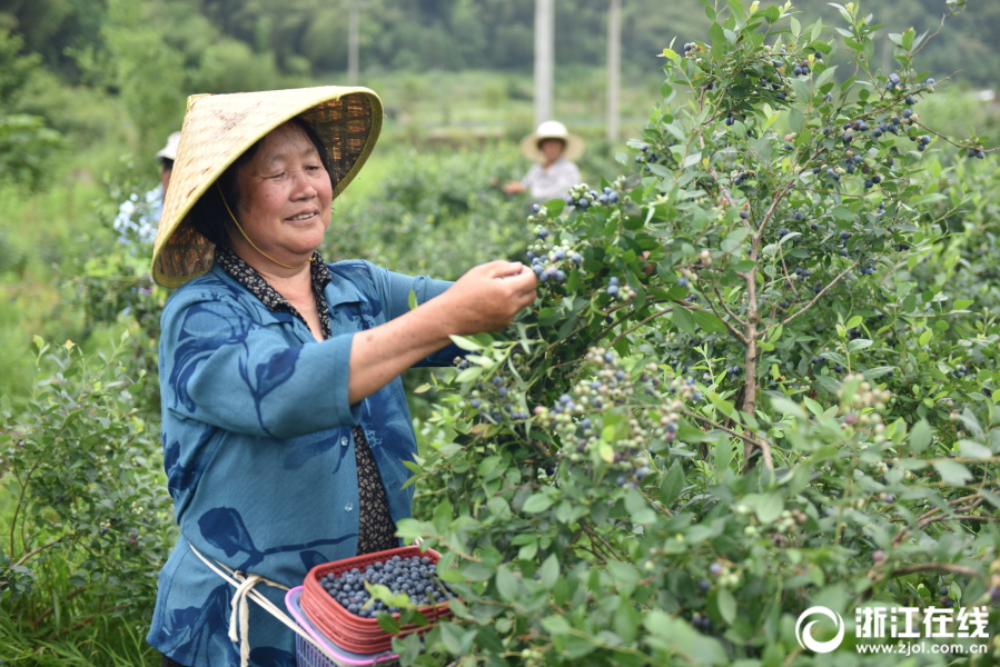 中天科技高端氫能裝備研發制造測試基地奠基