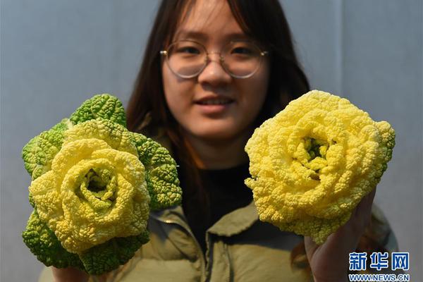 天津10千伏“雪花網”數字模型實時仿真系統投入運行