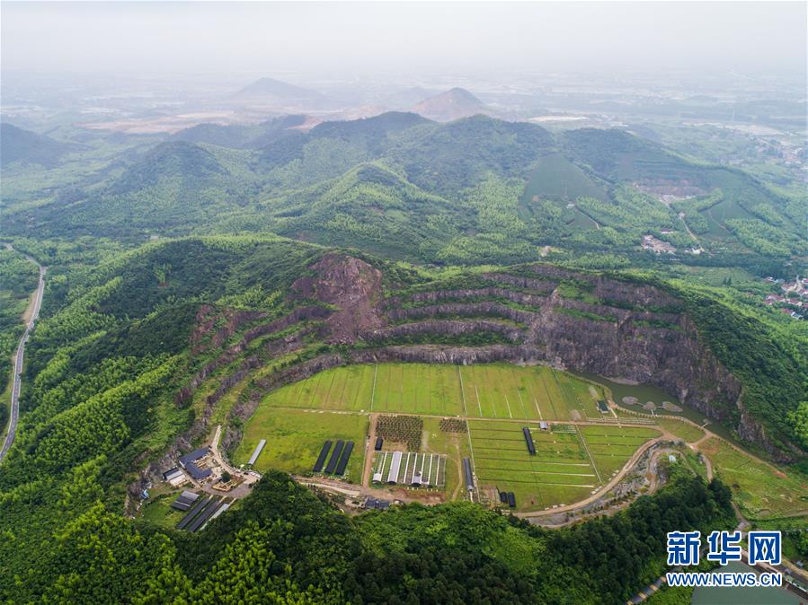 國網浙江電力董事長 尹積軍：力保電力供應安全平穩 服務經濟穩定發展