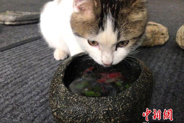 遠(yuǎn)光財智云斬獲“2018創(chuàng)新云服務(wù)平臺”大獎