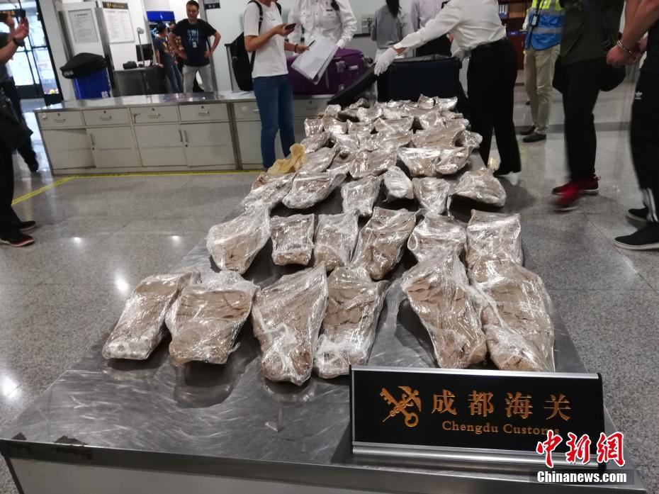 一周經濟評論|從COP15看保護與發展共贏的山東路徑