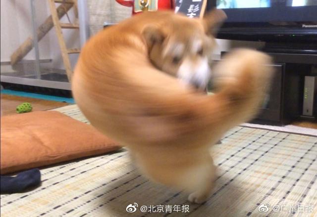 浙江電力交易中心補(bǔ)充公示1家推送售電企業(yè)