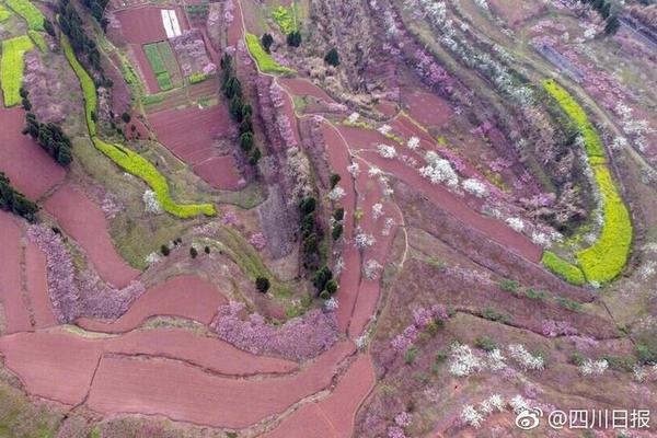 濟南新添一家全國農村養老服務標準化試點單位