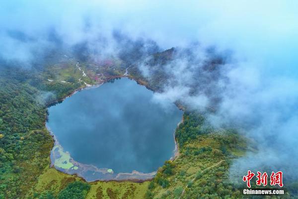 淺析氫燃料燃氣輪機發電的應用前景