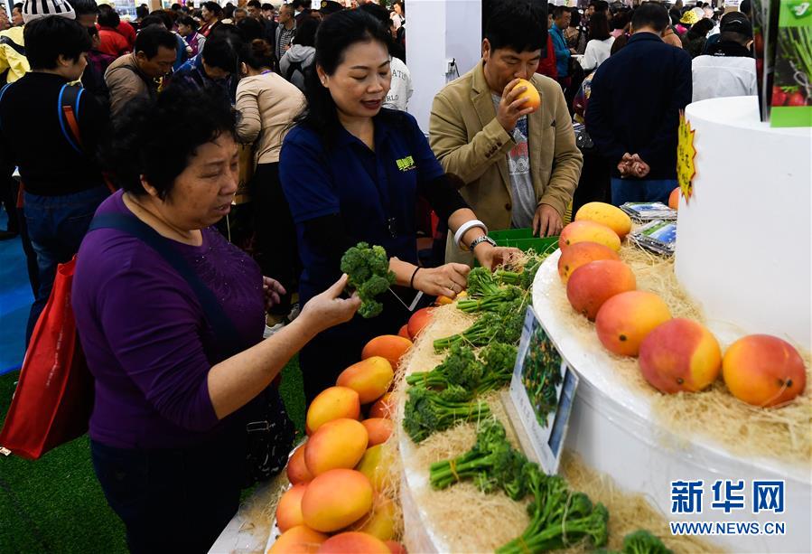天然氣生產增速回落消費小幅回升——2022年11月份天然氣市場運行分析