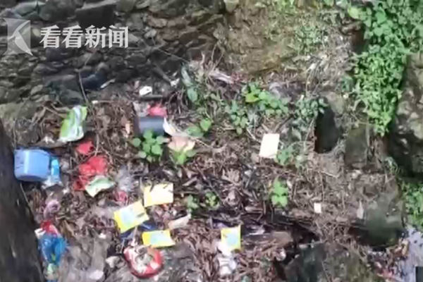 電力信息安全防御迫在眉睫 專業安全商迎良機