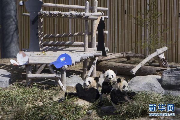 歐洲空客公司研發(fā)氫能燃料實現(xiàn)零碳飛行