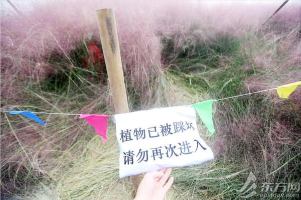7月重慶電力市場交易信息概覽：平均購電價讓利0.226分/千瓦時