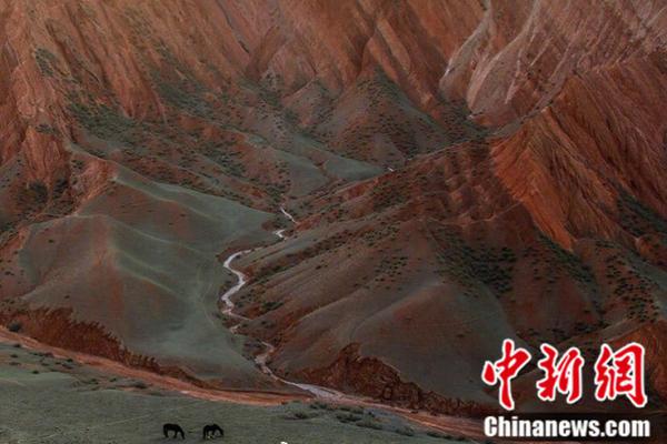 云南電力市場(chǎng)中長(zhǎng)期交易合同示范文本（2021年版）