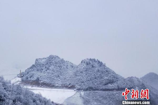 工程院院士衣寶廉:燃料電池已經(jīng)進(jìn)入市場導(dǎo)入階段