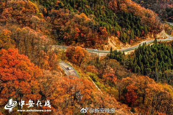 可再生能源發電成本和電解水成本均快速下降 “綠氫”經濟性優勢漸現