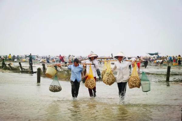 國網北京2021年配網物資新增協議庫存公開招標中標候選人