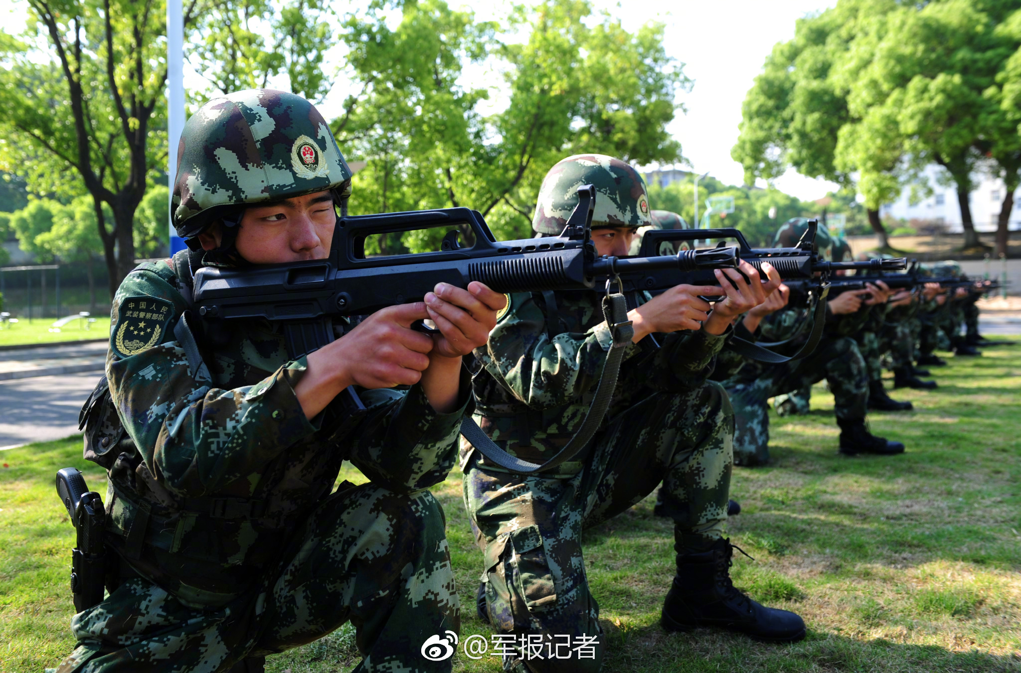 吃竹鼠的一百種理由火了！欲加之罪何患無辭呀