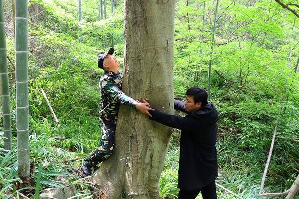 智能化產品“集結”山城 首屆“智博會”9月在重慶召開