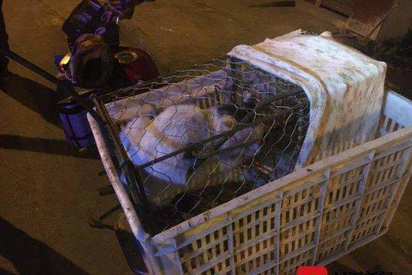黑龍江省售電公司與電力用戶購售電代理服務合同、購售電合同征意見
