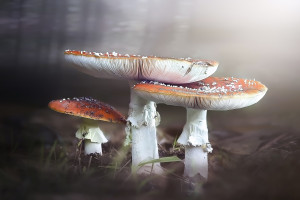 浩亭亮相大型紀(jì)錄片《工業(yè)傳奇》第二季——我們的智造
